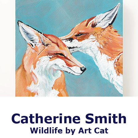 Illustrator | Catherine Smith